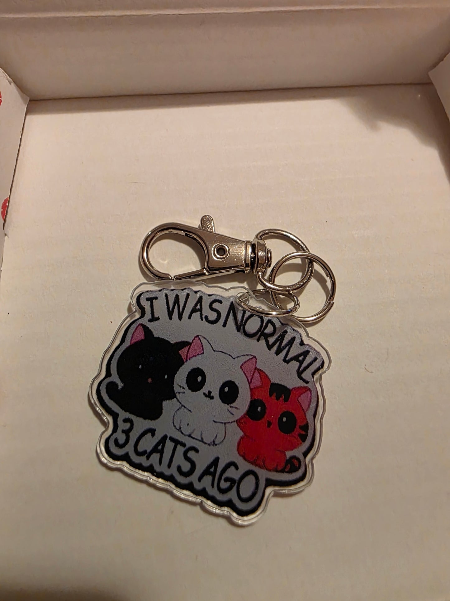 Keychain- Normal 3 cats ago