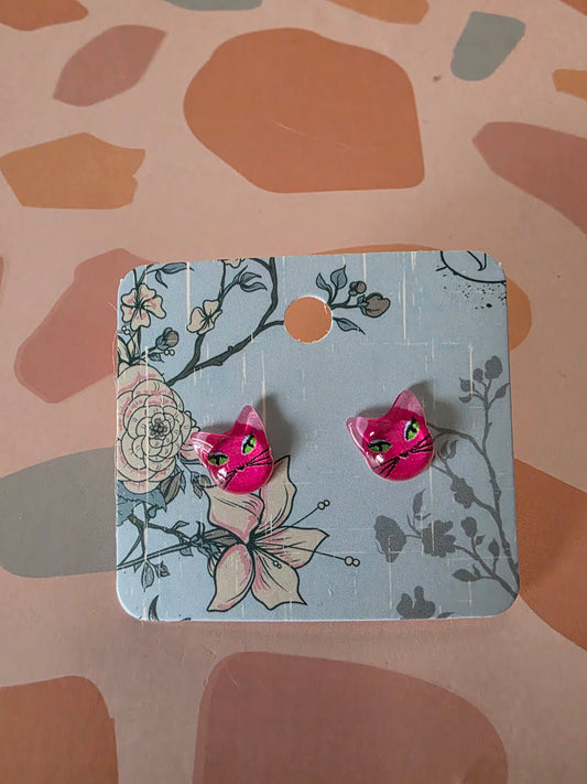 Cat studs