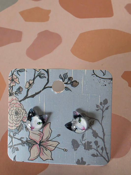 Cat studs