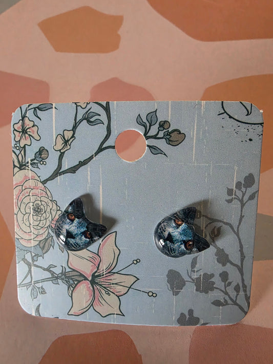 Cat studs